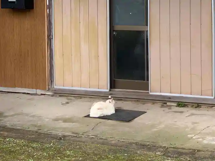 西願寺阿弥陀堂の動物