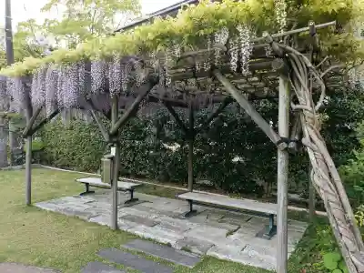 正翁寺の{uncategorized: "未分類", other: "その他", undefined: "問題あり", building: "その他建物", grave: "お墓", sacred_gate: "鳥居", guardian: "狛犬", statue: "像", buddha: "仏像", history: "歴史", nature: "自然", garden: "庭園", animal: "動物", pagoda: "塔", temizu: "手水舎", mountain_gate: "山門・神門", sanctuary: "本殿・本堂", subordinate: "末社・摂社", art: "芸術", scenery: "景色", jizo: "地蔵", ema: "絵馬", goshuin: "御朱印", omikuji: "おみくじ", items: "授与品その他", amulet: "お守り", goshuincho: "御朱印帳", eats: "食事", festival: "お祭り", votive_dance: "神楽", shichigosan: "七五三参", wedding: "結婚式", experience: "体験その他", initially: "初詣", around: "周辺", anti_infection: "感染症対策"}
