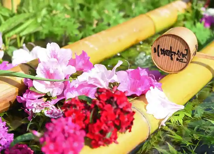 二尊院の手水舎