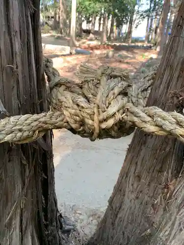 八幡神社の自然