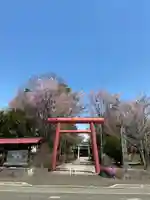 上富良野神社の鳥居
