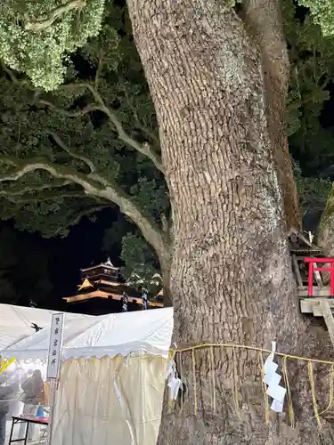 加藤神社(熊本県)