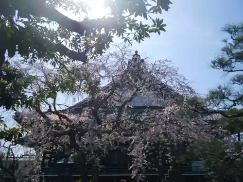 本覚寺のその他建物