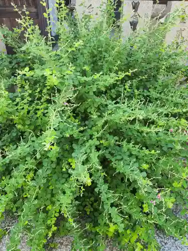 東光院(大阪府)