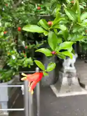 鹿島台神社の自然