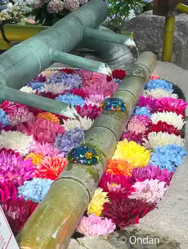 岡寺（龍蓋寺）(奈良県)