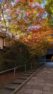 青蓮院門跡(京都府)