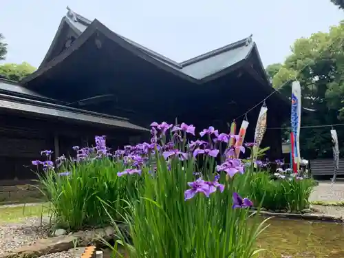 府八幡宮の自然