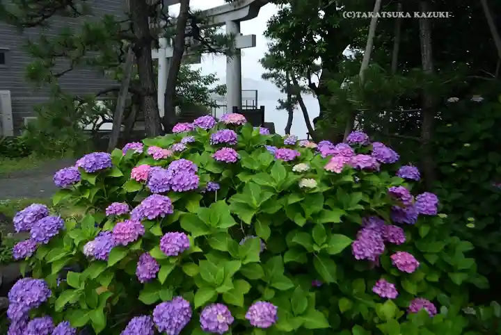 琵琶島神社(神奈川県)