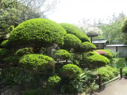 極楽寺（霊鷲山感應院極楽律寺）の景色