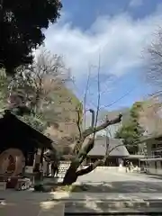 乃木神社(東京都)