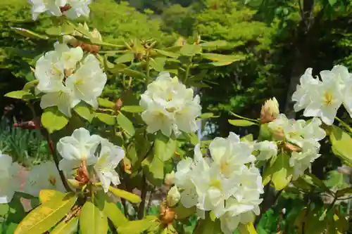 三春大神宮の庭園