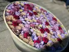 行田八幡神社の手水