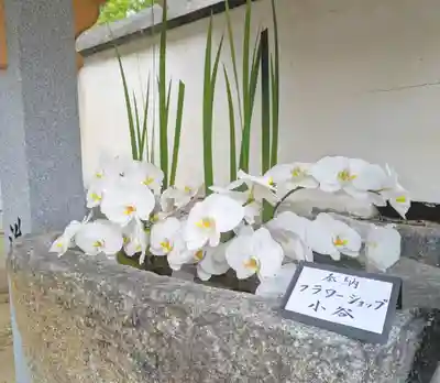 三津厳島神社(愛媛県)