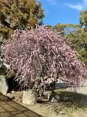 和泉國一之宮　大鳥大社(大阪府)