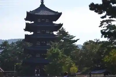 興福寺のその他建物