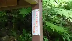 大聖寺の建物その他