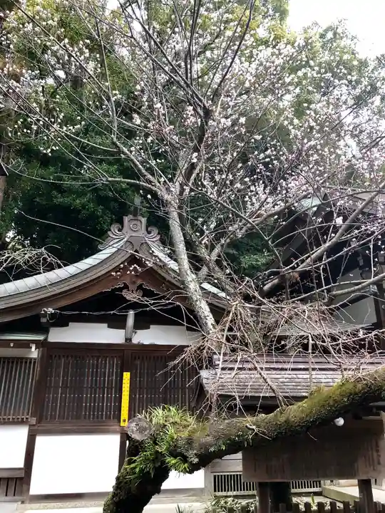 保久良神社の本殿・本堂