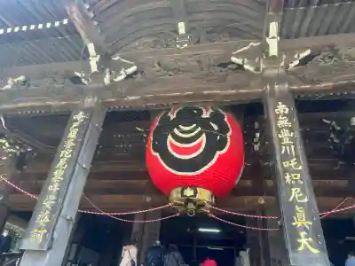 豊川閣　妙厳寺の{uncategorized: "未分類", other: "その他", undefined: "問題あり", building: "その他建物", grave: "お墓", sacred_gate: "鳥居", guardian: "狛犬", statue: "像", buddha: "仏像", history: "歴史", nature: "自然", garden: "庭園", animal: "動物", pagoda: "塔", temizu: "手水舎", mountain_gate: "山門・神門", sanctuary: "本殿・本堂", subordinate: "末社・摂社", art: "芸術", scenery: "景色", jizo: "地蔵", ema: "絵馬", goshuin: "御朱印", omikuji: "おみくじ", items: "授与品その他", amulet: "お守り", goshuincho: "御朱印帳", eats: "食事", festival: "お祭り", votive_dance: "神楽", shichigosan: "七五三参", wedding: "結婚式", experience: "体験その他", initially: "初詣", around: "周辺", anti_infection: "感染症対策"}