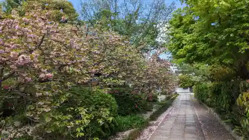 本満寺（本願満足寺）(京都府)