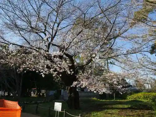 松陰神社の自然