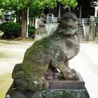白髭神社の狛犬