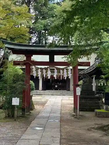 本太氷川神社(埼玉県)