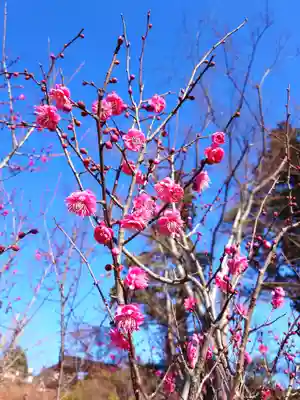 八幡宮(茨城県)