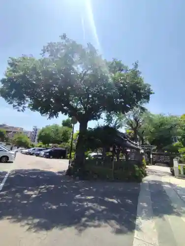 白山神社の{uncategorized: "未分類", other: "その他", undefined: "問題あり", building: "その他建物", grave: "お墓", sacred_gate: "鳥居", guardian: "狛犬", statue: "像", buddha: "仏像", history: "歴史", nature: "自然", garden: "庭園", animal: "動物", pagoda: "塔", temizu: "手水舎", mountain_gate: "山門・神門", sanctuary: "本殿・本堂", subordinate: "末社・摂社", art: "芸術", scenery: "景色", jizo: "地蔵", ema: "絵馬", goshuin: "御朱印", omikuji: "おみくじ", items: "授与品その他", amulet: "お守り", goshuincho: "御朱印帳", eats: "食事", festival: "お祭り", votive_dance: "神楽", shichigosan: "七五三参", wedding: "結婚式", experience: "体験その他", initially: "初詣", around: "周辺", anti_infection: "感染症対策"}