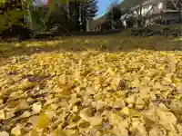 大崎神社(兵庫県)