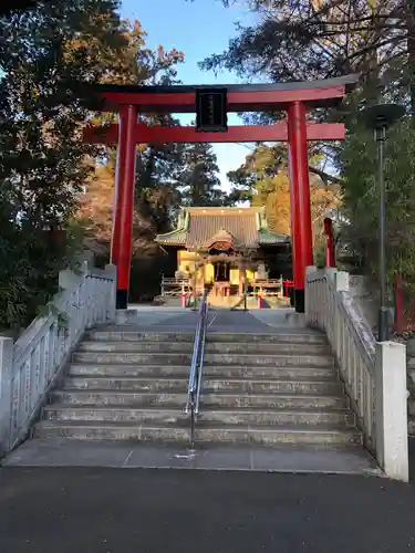 白笹稲荷神社の鳥居