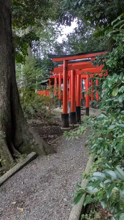 若松神社(滋賀県)