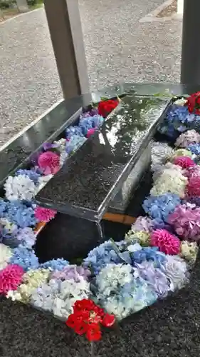 新琴似神社の手水