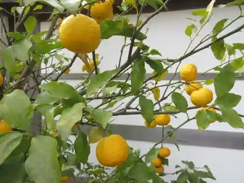 妙長寺(神奈川県)