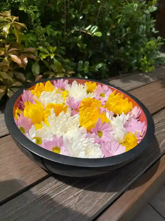 増上寺塔頭 三縁山 宝珠院の{uncategorized: "未分類", other: "その他", undefined: "問題あり", building: "その他建物", grave: "お墓", sacred_gate: "鳥居", guardian: "狛犬", statue: "像", buddha: "仏像", history: "歴史", nature: "自然", garden: "庭園", animal: "動物", pagoda: "塔", temizu: "手水舎", mountain_gate: "山門・神門", sanctuary: "本殿・本堂", subordinate: "末社・摂社", art: "芸術", scenery: "景色", jizo: "地蔵", ema: "絵馬", goshuin: "御朱印", omikuji: "おみくじ", items: "授与品その他", amulet: "お守り", goshuincho: "御朱印帳", eats: "食事", festival: "お祭り", votive_dance: "神楽", shichigosan: "七五三参", wedding: "結婚式", experience: "体験その他", initially: "初詣", around: "周辺", anti_infection: "感染症対策"}