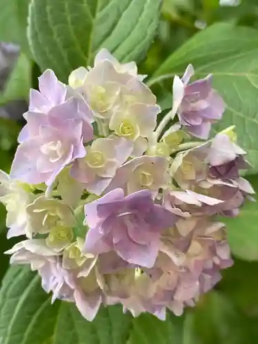 上野東照宮の自然