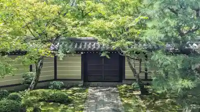 禅林寺(永観堂)(京都府)