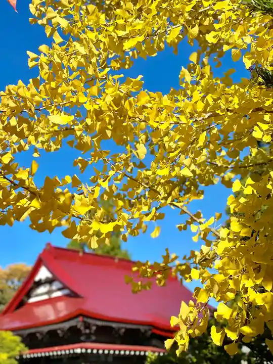 伊達神社(北海道)