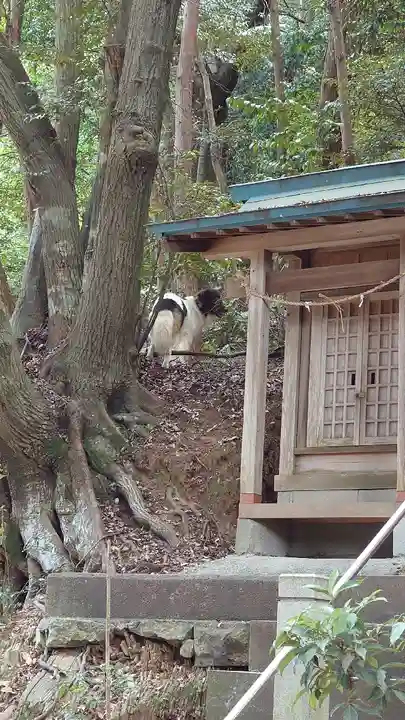 久麻久神社(愛知県)