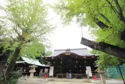 渋谷氷川神社の本殿・本堂