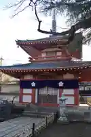 新井薬師(梅照院)(東京都)