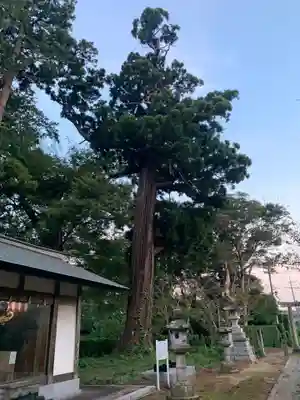 東大社(千葉県)