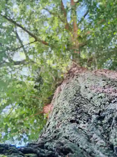 守りの神　藤基神社の庭園