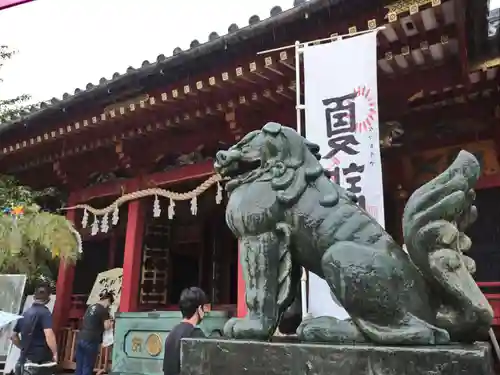 浅草神社の狛犬