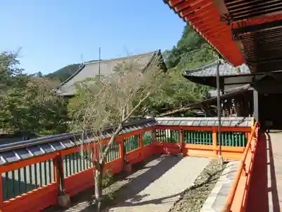 毘沙門堂門跡のその他建物