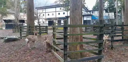 彌彦神社の建物その他