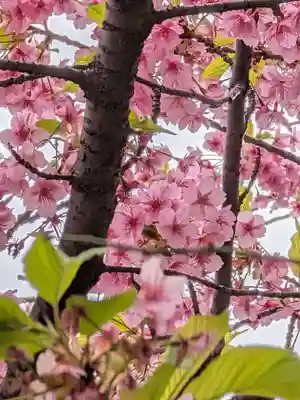 源空寺(東京都)