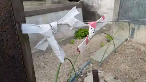 大仏寺のおみくじ