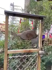 田無神社の狛犬