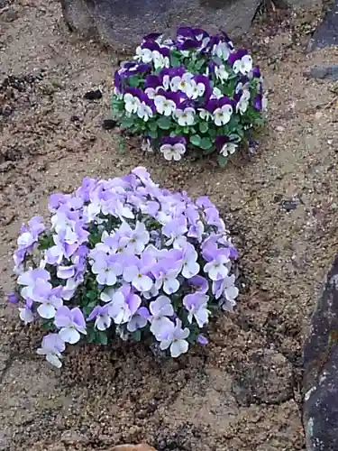 大鏑神社の自然
